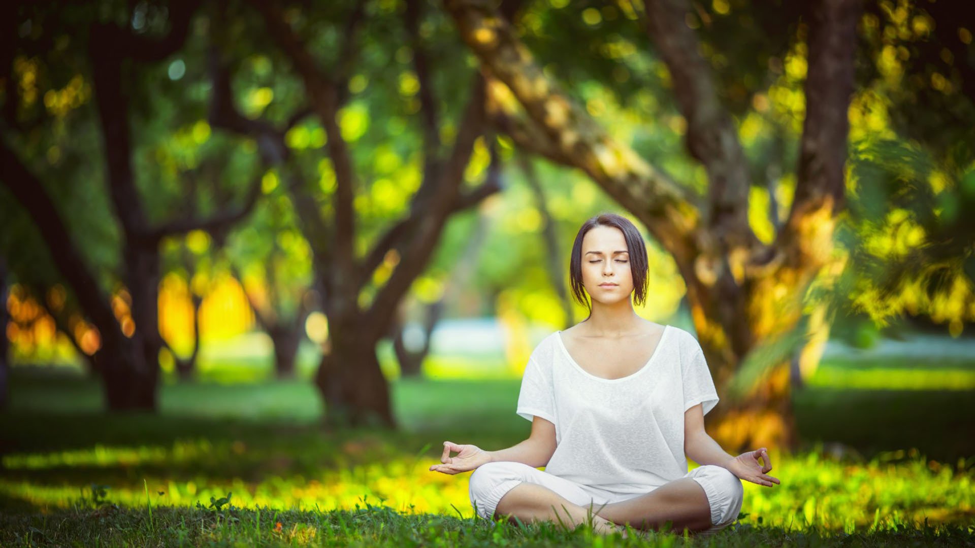 体育竞猜网站-战术奏效！那不勒斯双翼齐飞压制本菲卡整场无力还手，战术奏效！那不勒斯双翼齐飞压制本菲卡整场无力还手